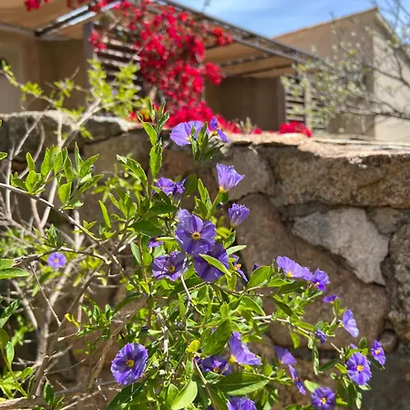 Chaleureuse Au Coeur D'un Parc Tres Fleuris Porto-Vecchio (Corsica)