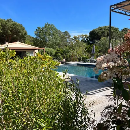 Dom wakacyjny Chaleureuse Au Coeur D'un Parc Tres Fleuris Porto-Vecchio (Corsica)