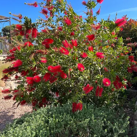 Chaleureuse Au Coeur D'un Parc Tres Fleuris 別荘